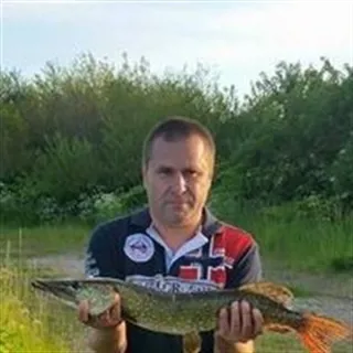 Bager og pizzabager
